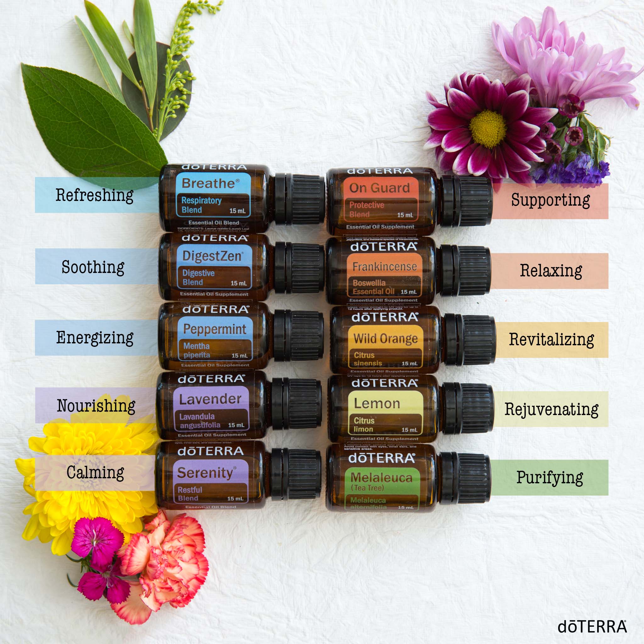 The Top Ten Essential Oils, with Taylor Elliott – C.O.R.E. grow
